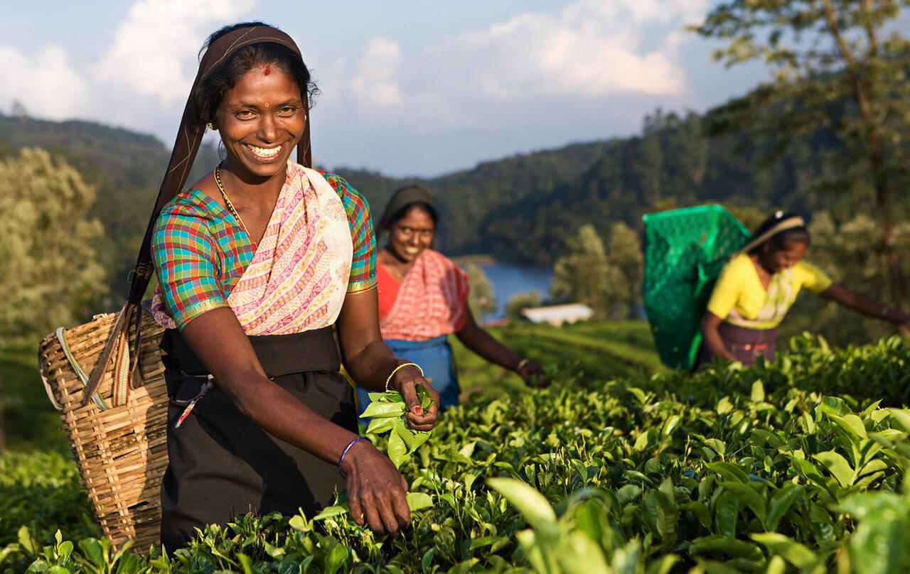 Sri Lanka