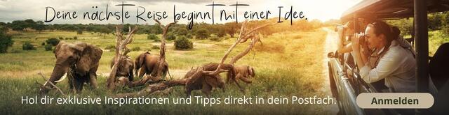 Newsletter abonnieren