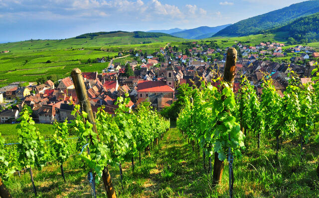 Wunderschönes Elsass