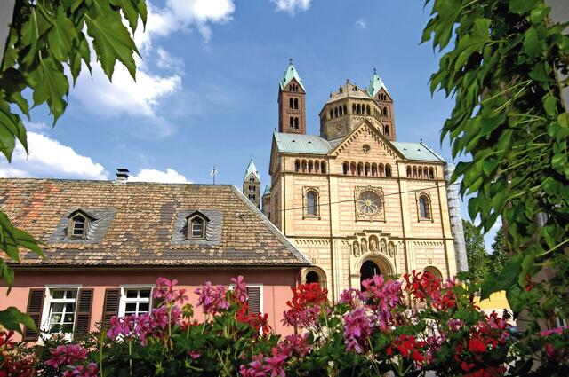 Zur Mandelblüte in die Pfalz