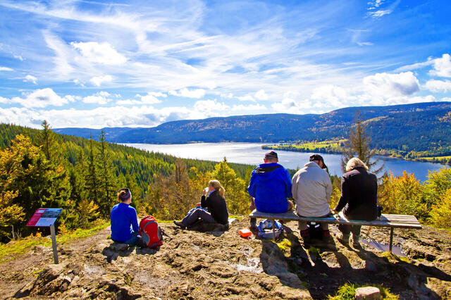 Wandern im Schwarzwald
