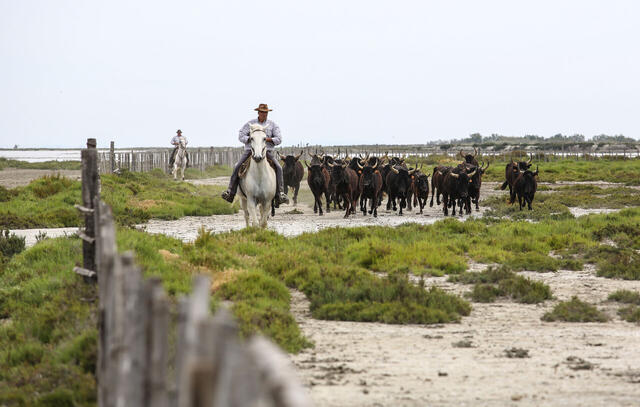 Die Höhepunkte der Rhône - inklusive Dinner bei Paul Bocuse