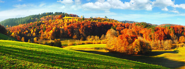 Wandern im Schwarzwald