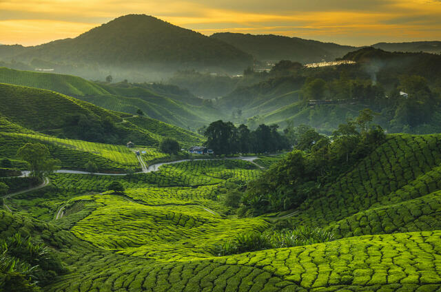 Entdeckerreise durch Malaysia & Borneo