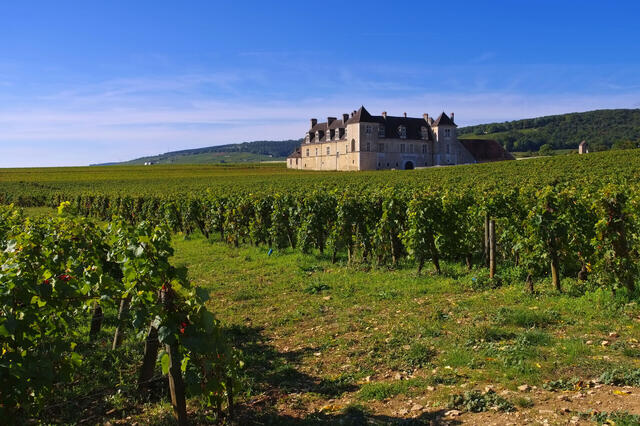 Escapade en Bourgogne
