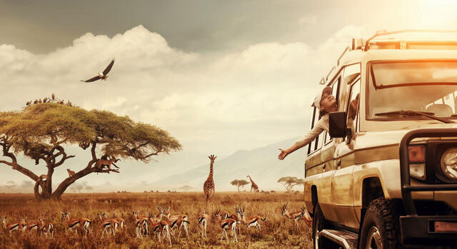 Safari Kreuzfahrt