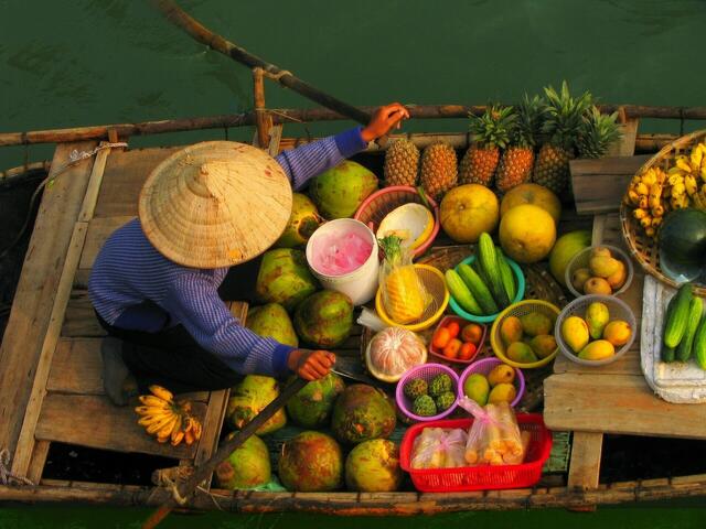 Le Vietnam enchanteur