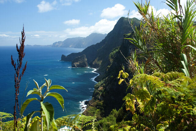 Madeira hautnah