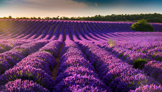 Südfrankreich entlang der Rhône