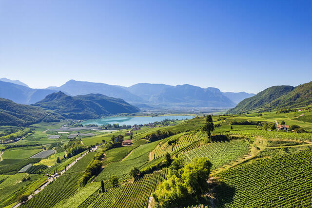 Frühlingserwachen in Meran