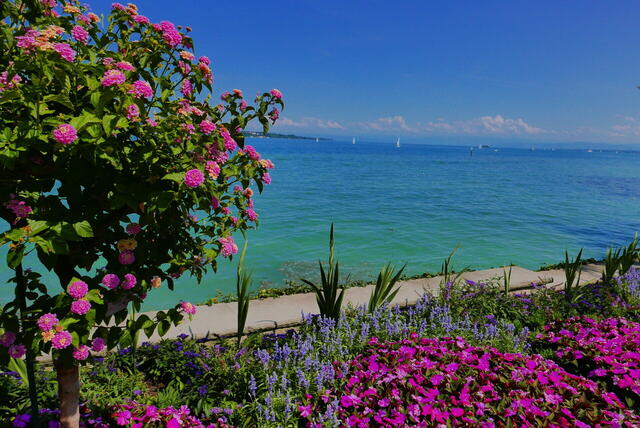 Pfingsten am Bodensee