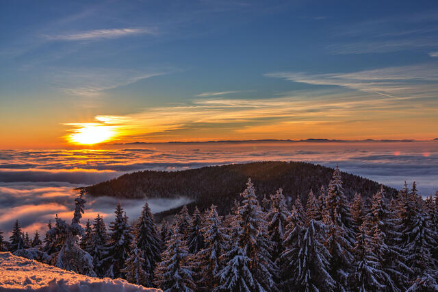 Winterpendel Schwarzwald