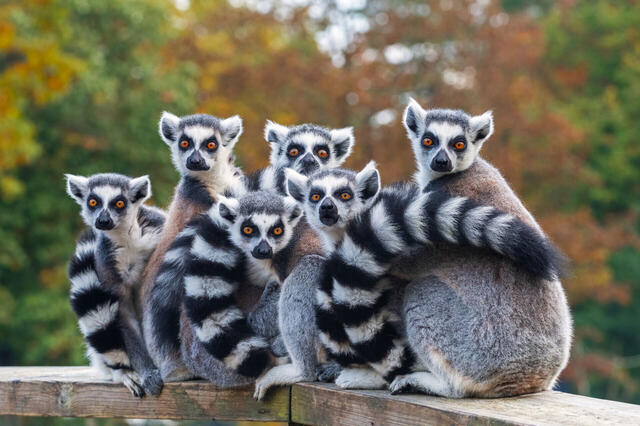 Traumziele im Indischen Ozean