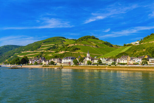Frühling in Rüdesheim