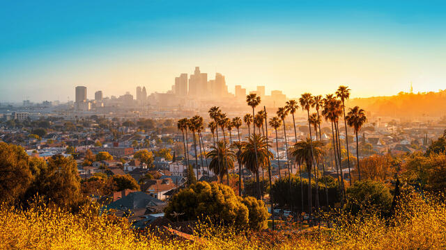 MSC Magnifica : World Cruise