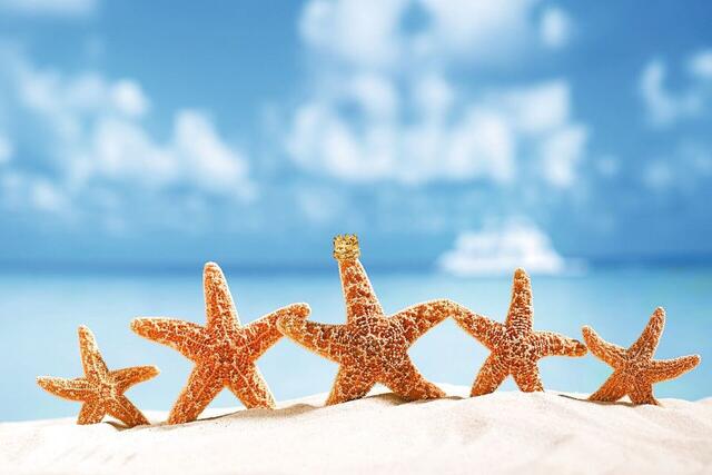 Transatlantikkreuzfahrt: Mittelmeer bis Karibik