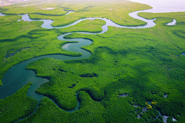 Aventure Africaine Gambie & Delta du Saloum