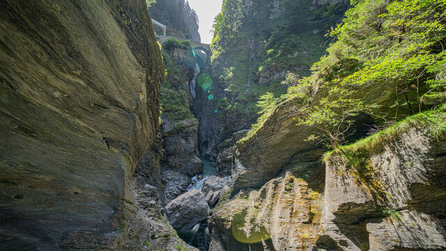 Alpenpanorama mit Bernina, Glacier und Arosa Express