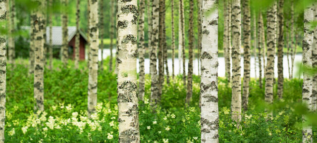 Finnland & Kulturhauptstadt Oulu