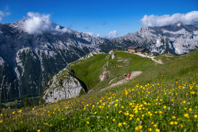 Wanderparadies Seefeld in Tirol
