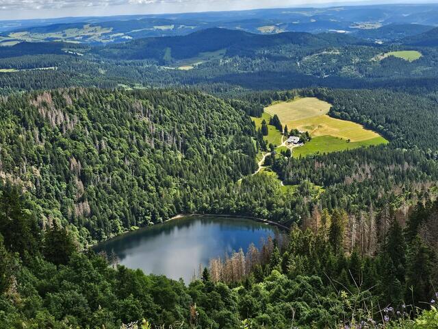Genusswandern im Schwarzwald