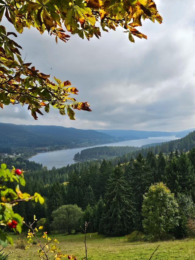 Genusswandern im Schwarzwald
