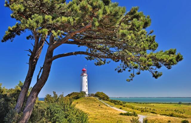 Ostseeflair auf Rügen und Usedom