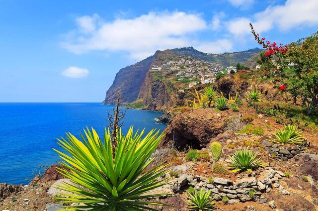 MSC Magnifica : World Cruise