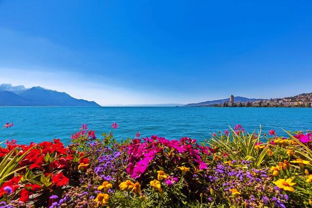 Highlights der Schweiz - Prestige