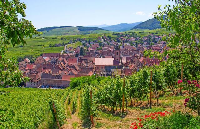 Wunderschönes Elsass