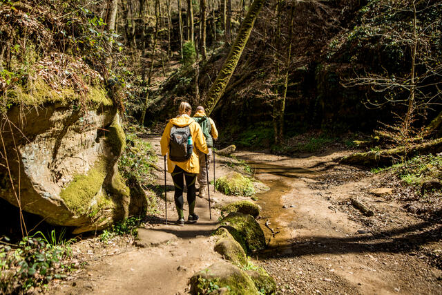 Two hikers enjoying the outdoors on staycation
