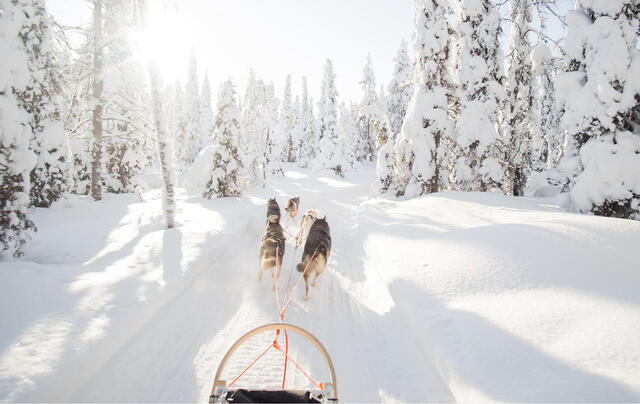 Scandinavie