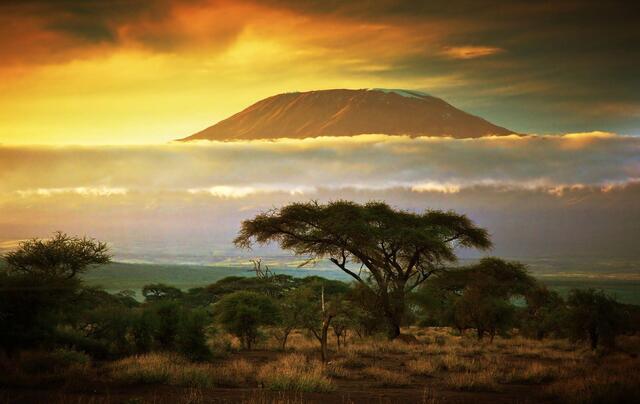 Kenya