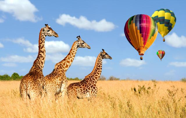 Kenya