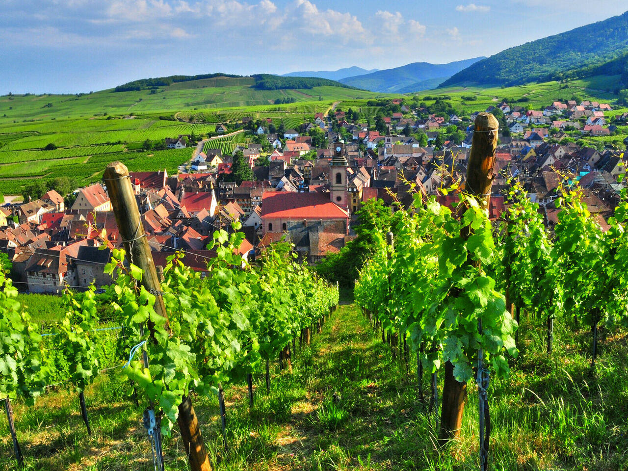 Wunderschönes Elsass