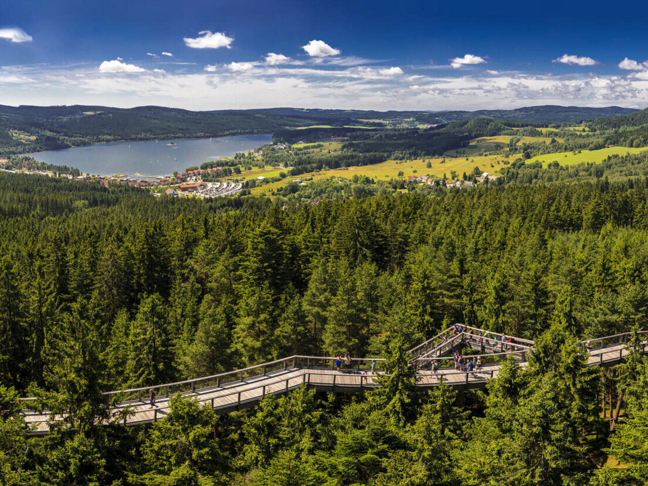 Bayerischer Wald
