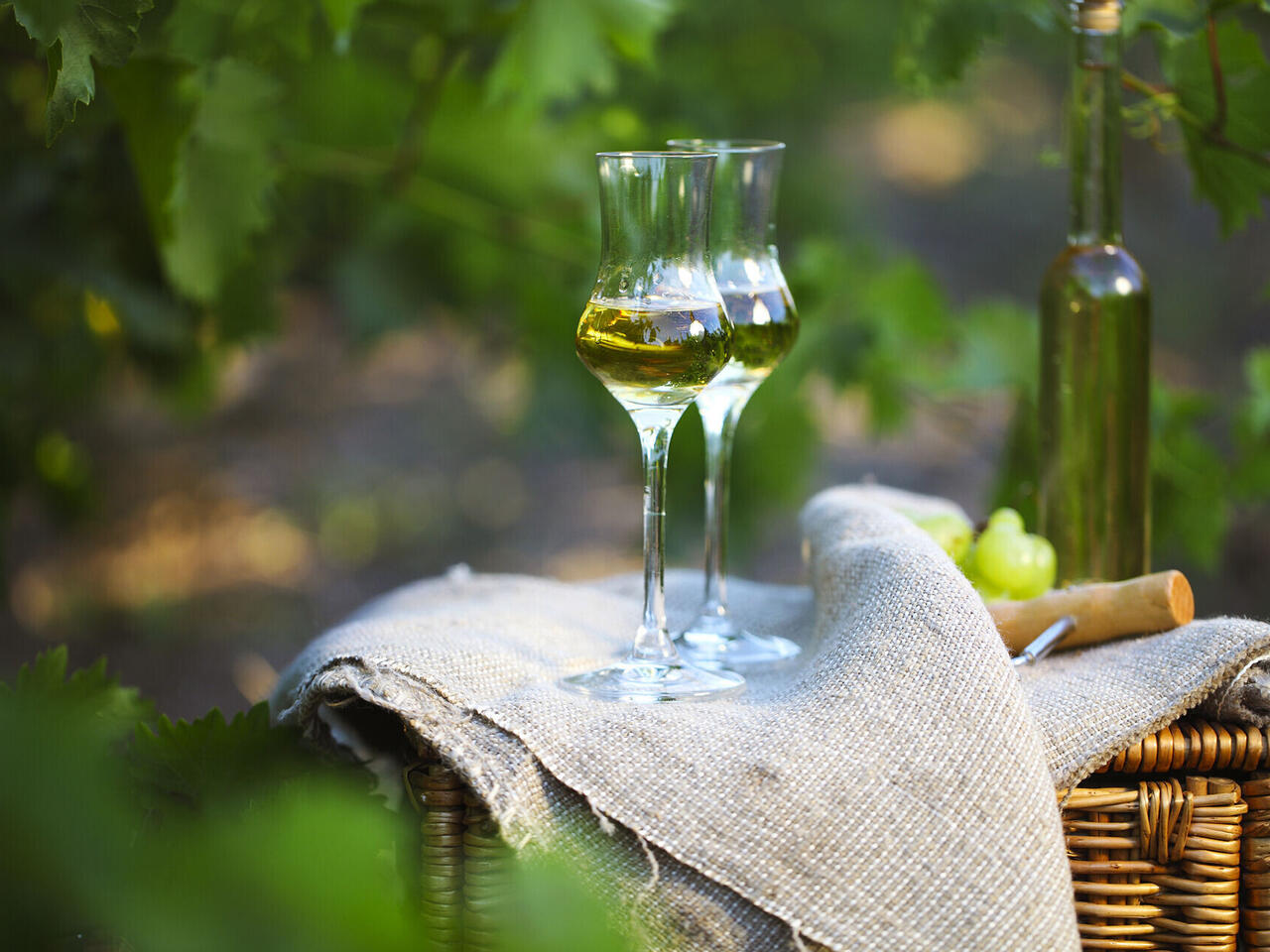 Venetien für Feinschmecker und Kulturfreunde