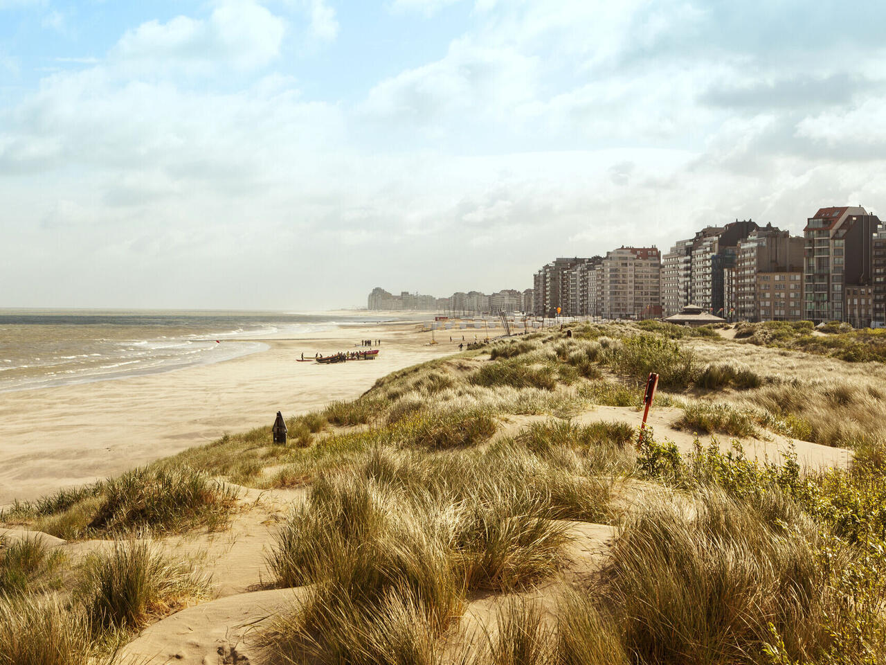 Belgische und Niederländische Nordseeküste