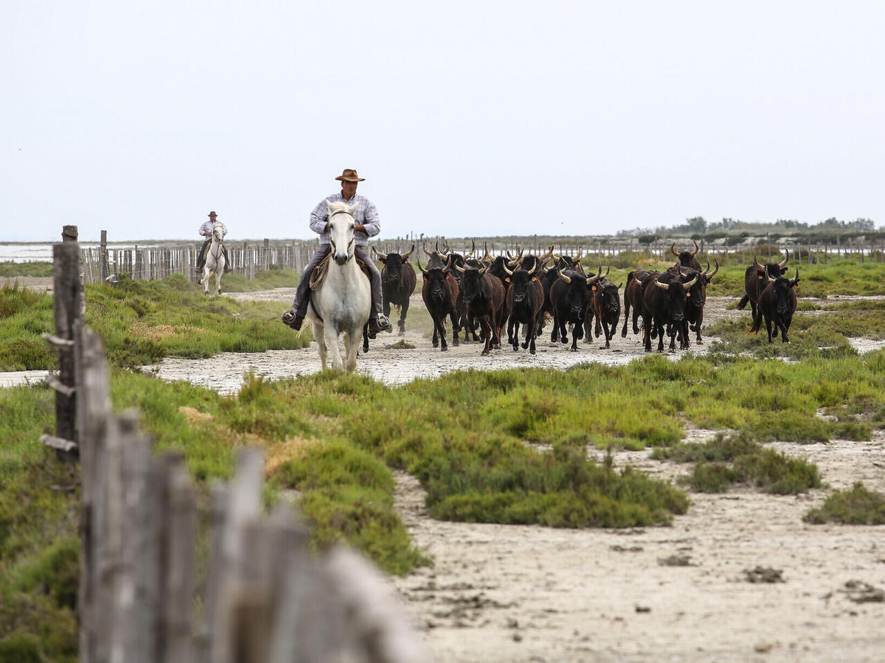 Incontournables du Rhône -Dîner Paul Bocuse