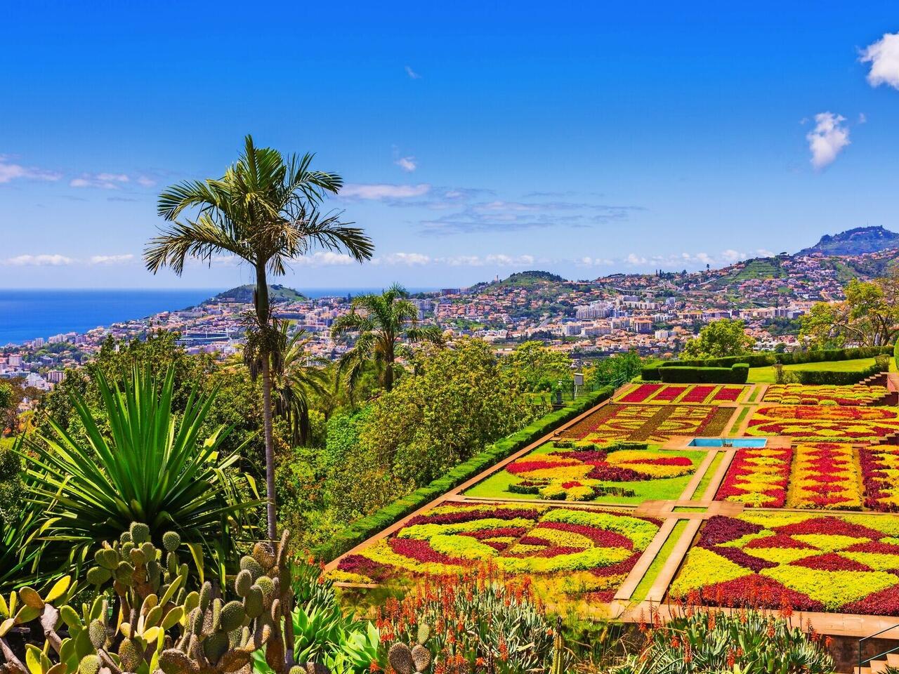 Madeira hautnah