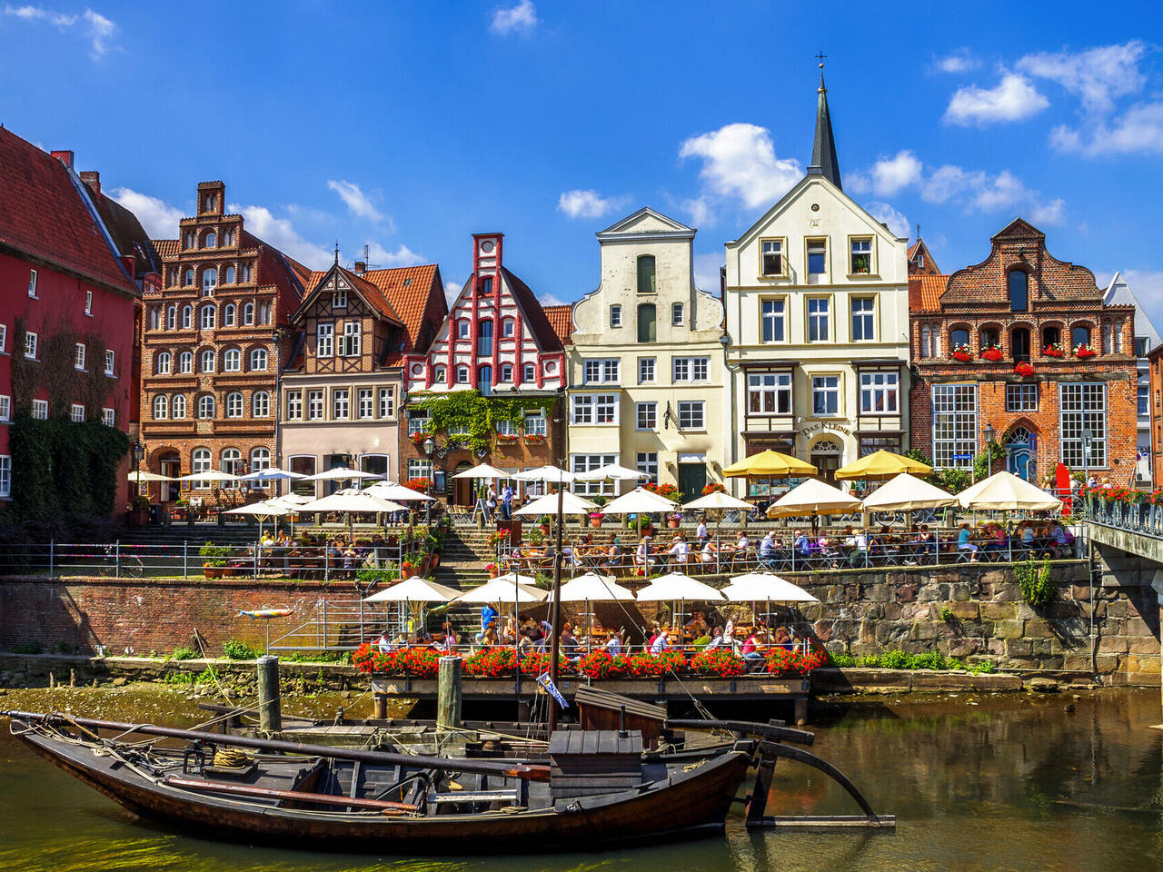 Heideblüte in der Lüneburger Heide