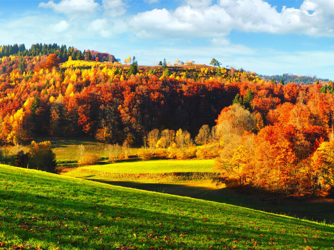 Wandern im Schwarzwald