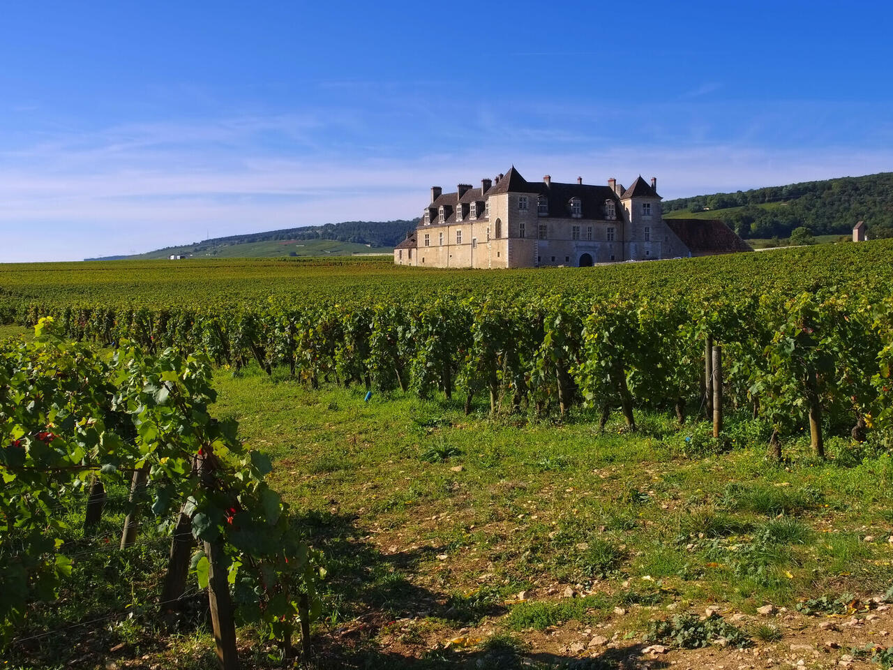 Escapade en Bourgogne