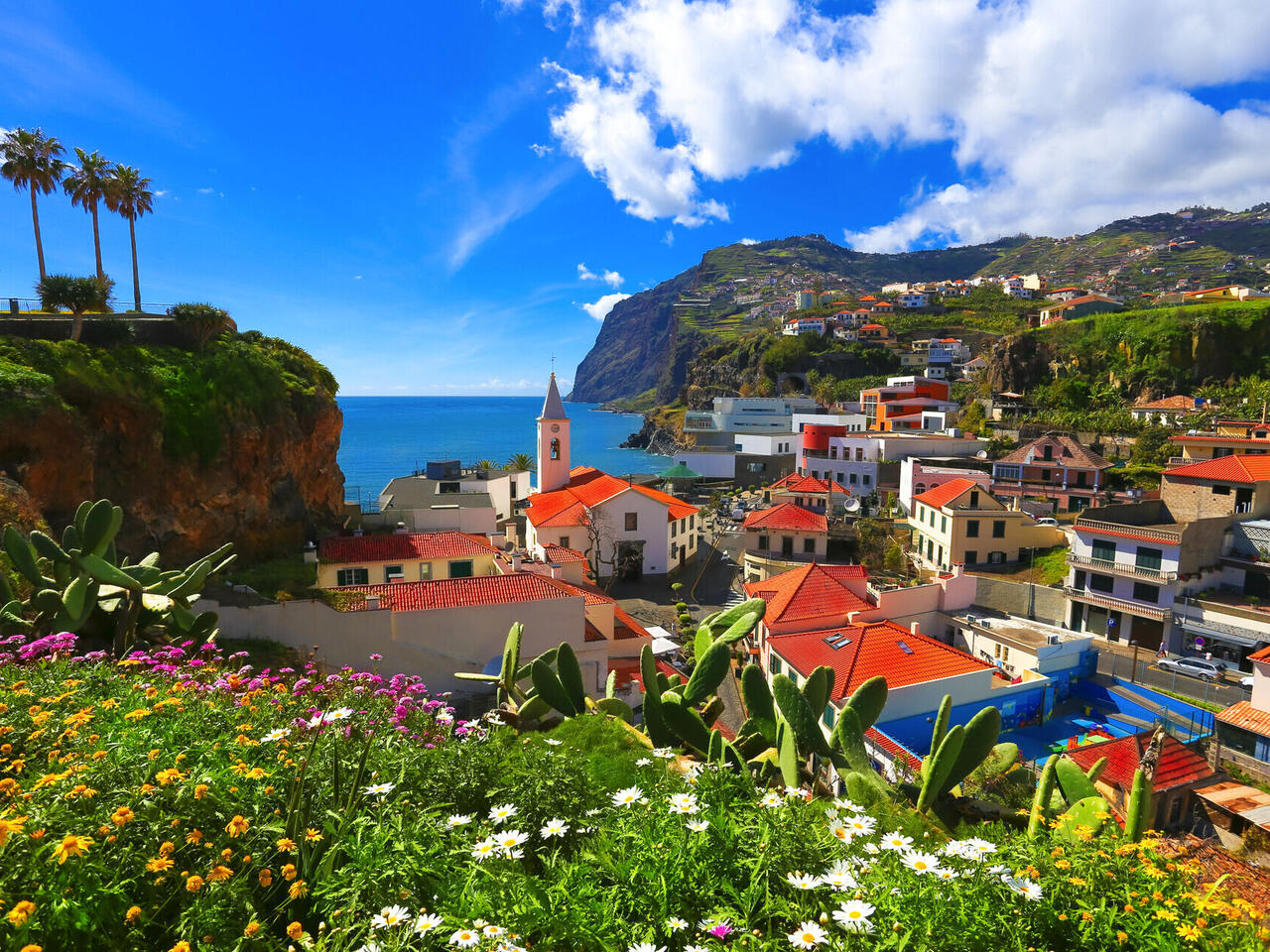 Blumeninsel Madeira