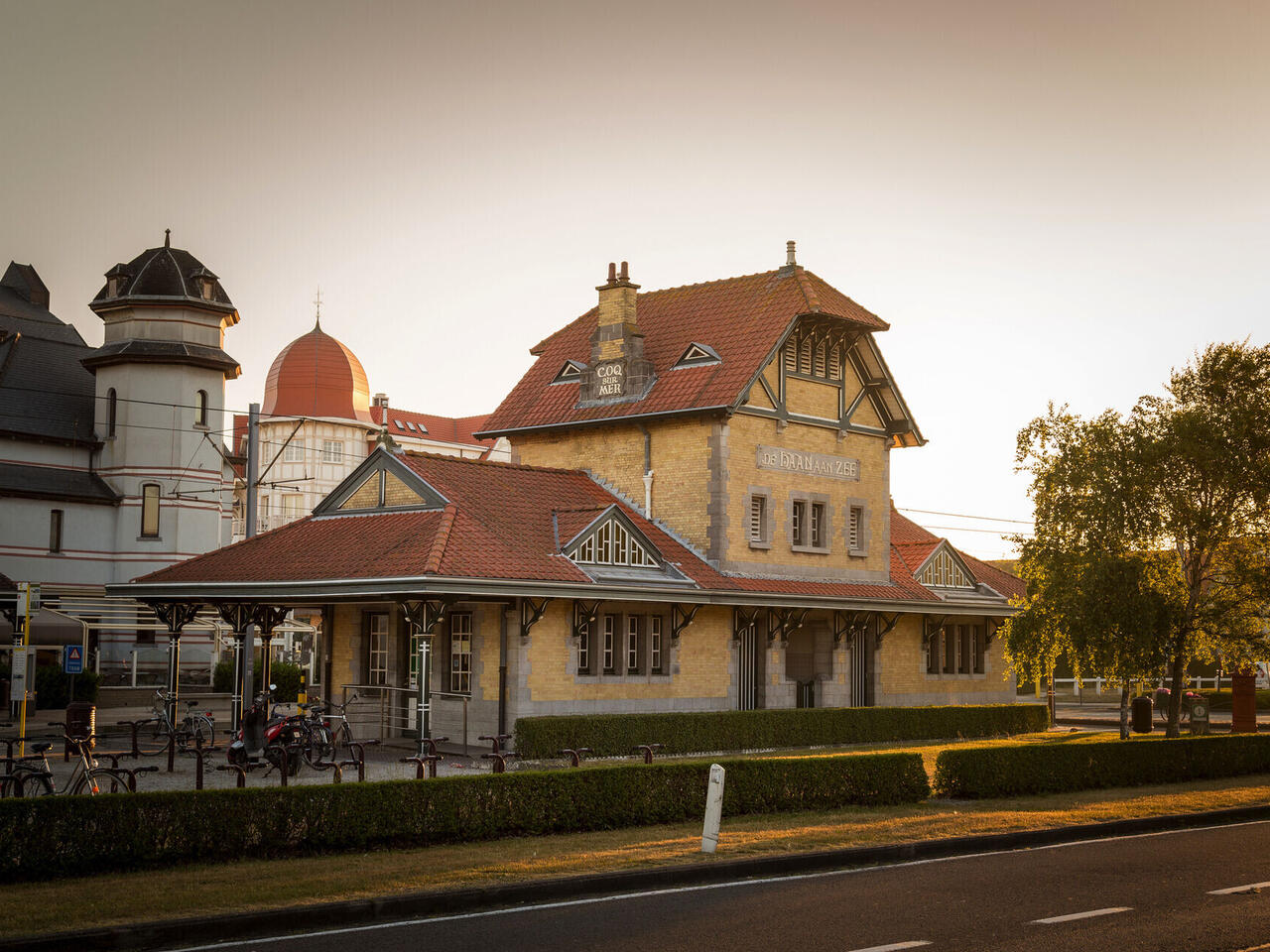 Belgische und Niederländische Nordseeküste