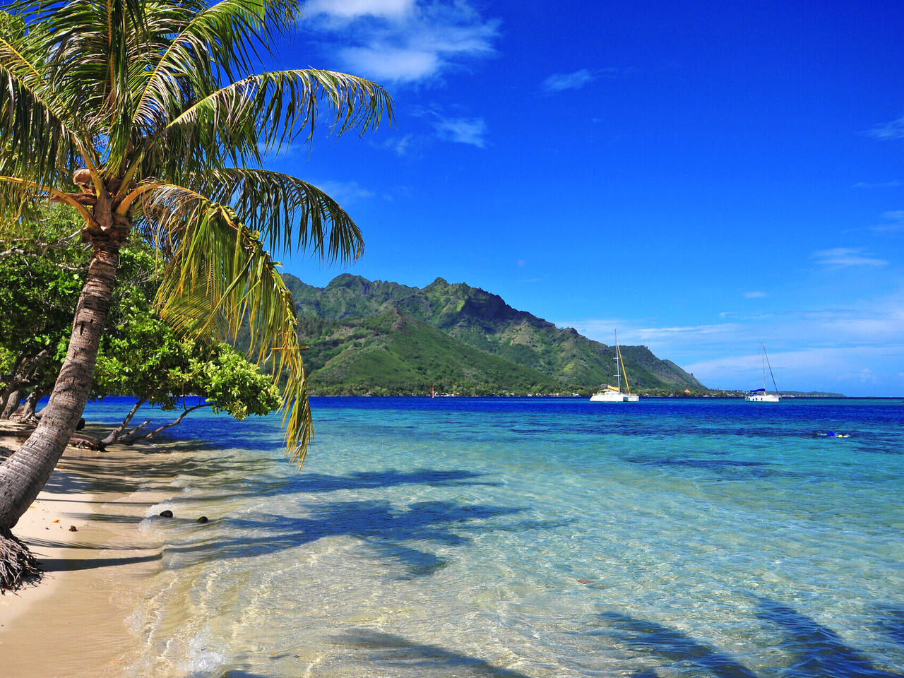 MSC Magnifica : World Cruise