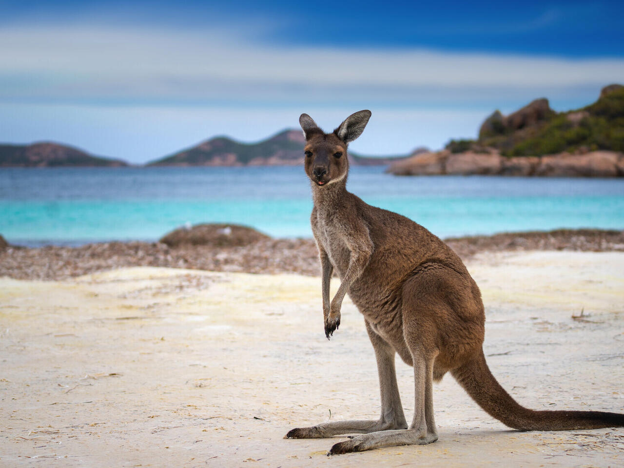 Australien & Neuseeland