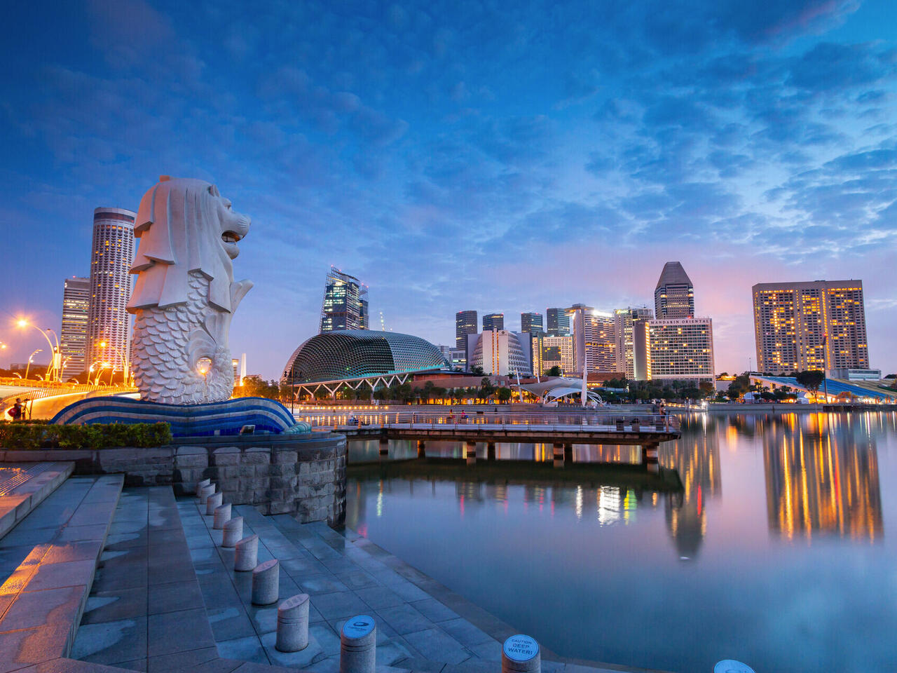 MSC Magnifica : World Cruise