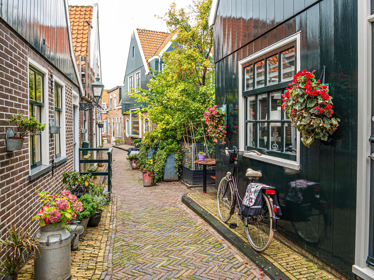 Schätze der Niederlande & Belgien