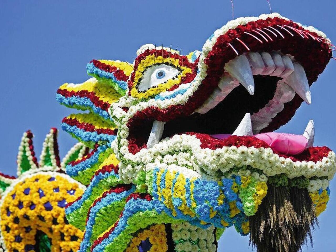 Blütenpracht in Holland